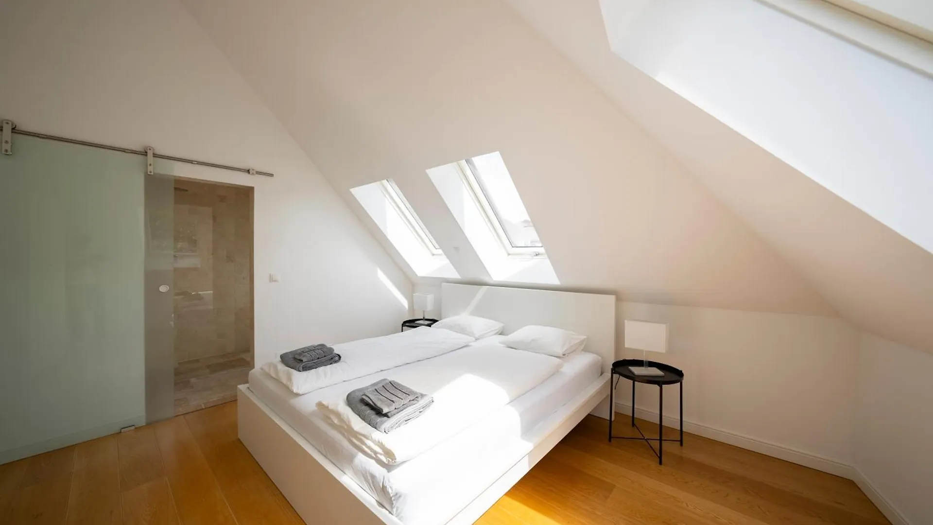 Luxury Penthouse Schonbrunn Apartment Vienna